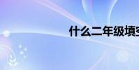 什么二年級填空?