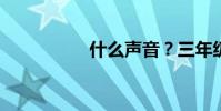 什么聲音?三年級填空