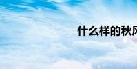 什么樣的秋風