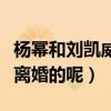 楊冪和劉凱威什么時候離的婚（二人究竟因何離婚的呢）