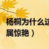 楊桐為什么這么受歡迎（長相帥氣還十分酷實屬驚艷）
