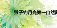 猴子釣月亮第一自然段有一些話