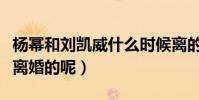 楊冪和劉凱威什么時候離的婚(二人究竟因何離婚的呢)