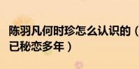 陳羽凡何時珍怎么認識的(陳羽凡出軌何時珍已秘戀多年)