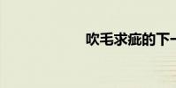 吹毛求疵的下一句