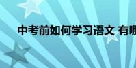中考前如何學習語文 有哪些學習技巧?