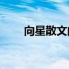 向星散文的背景是什么？作者是誰？