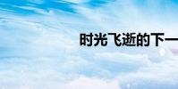 時光飛逝的下一句話
