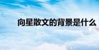 向星散文的背景是什么?作者是誰?