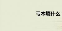 虧本填什么?