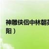 神雕俠侶中林朝英的武功跟誰學的（為什么林朝英沒嫁王重陽）