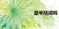 是半括詞嗎?