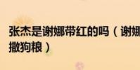 張杰是謝娜帶紅的嗎(謝娜和張杰健身房花式撒狗糧)