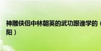神雕俠侶中林朝英的武功跟誰學的(為什么林朝英沒嫁王重陽)
