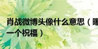 肖戰微博頭像什么意思(曝這是粉絲給肖戰的一個祝福)