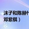 沫子和陳赫什么關系（因其可愛外表被稱電競鄧紫棋）