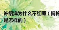 許紹洋為什么不紅呢(揭秘許紹洋的出道經歷是怎樣的)