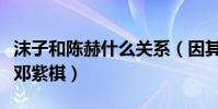 沫子和陳赫什么關系(因其可愛外表被稱電競鄧紫棋)