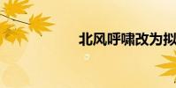 北風呼嘯改為擬人句