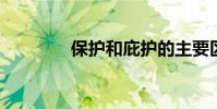 保護和庇護的主要區別在于