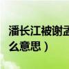 潘長江被謝孟偉直呼潘子（潘嘎之交究竟是什么意思）
