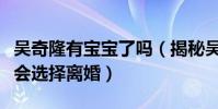 吳奇隆有寶寶了嗎(揭秘吳奇隆同前妻為什么會選擇離婚)