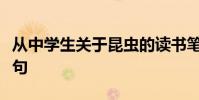 從中學生關于昆蟲的讀書筆記中提煉出好詞好句