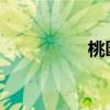 桃園三杰一的英雄是誰