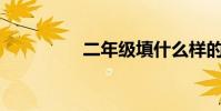 二年級填什么樣的災難?