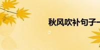 秋風吹補句子一級