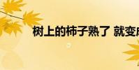 樹上的柿子熟了 就變成了比喻句