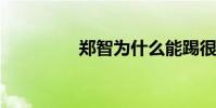 鄭智為什么能踢很多位置