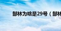 郜林為啥是29號(郜林為什么29)