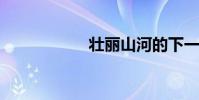壯麗山河的下一句話