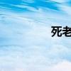 死老鼠不感冒的下一句話