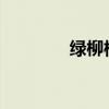 綠柳模仿春風的擬人化句子