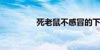 死老鼠不感冒的下一句話