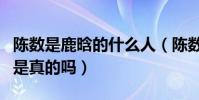 陳數是鹿晗的什么人(陳數是鹿晗媽媽的傳聞是真的嗎)