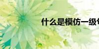什么是模仿一級句子?