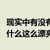現實中有沒有劉亦菲級別美貌的人（劉亦菲為什么這么漂亮）