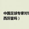 中國足球專家對切爾西的評價（切爾西足球特點是什么切爾西厲害嗎）