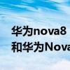 華為nova8 pro和榮耀50 pro對比（榮耀50和華為Nova8Pro有什么區別）