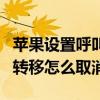 蘋果設置呼叫轉移怎么取消（蘋果設置了呼叫轉移怎么取消）