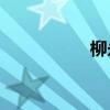 柳永是南宋還是北宋？