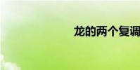 龍的兩個復調詞