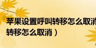 蘋果設置呼叫轉移怎么取消(蘋果設置了呼叫轉移怎么取消)