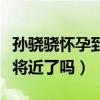 孫驍驍懷孕到底是真是假呢（難道她們真的事將近了嗎）