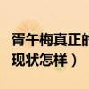 胥午梅真正的老公是誰（胥午梅離開央視了嗎現狀怎樣）