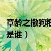 章齡之撒狗糧（章齡之薛之謙有什么關系老公是誰）