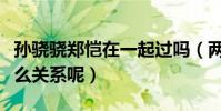 孫驍驍鄭愷在一起過嗎(兩人之間到底有著什么關系呢)